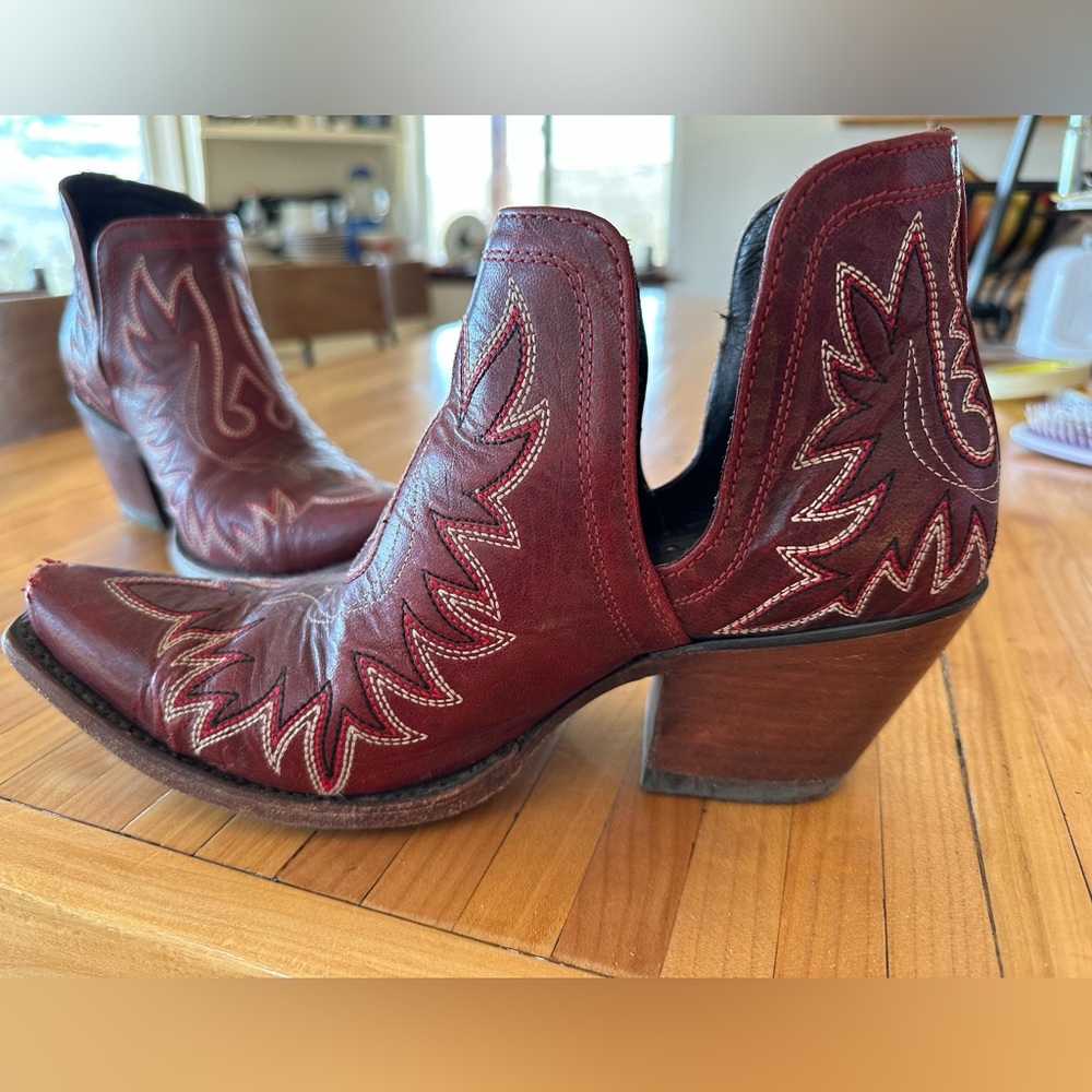 Ariat Dixon